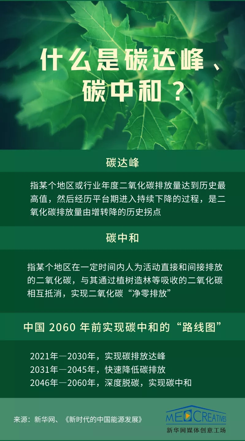 1618297381003.jpg 640.webp.jpg